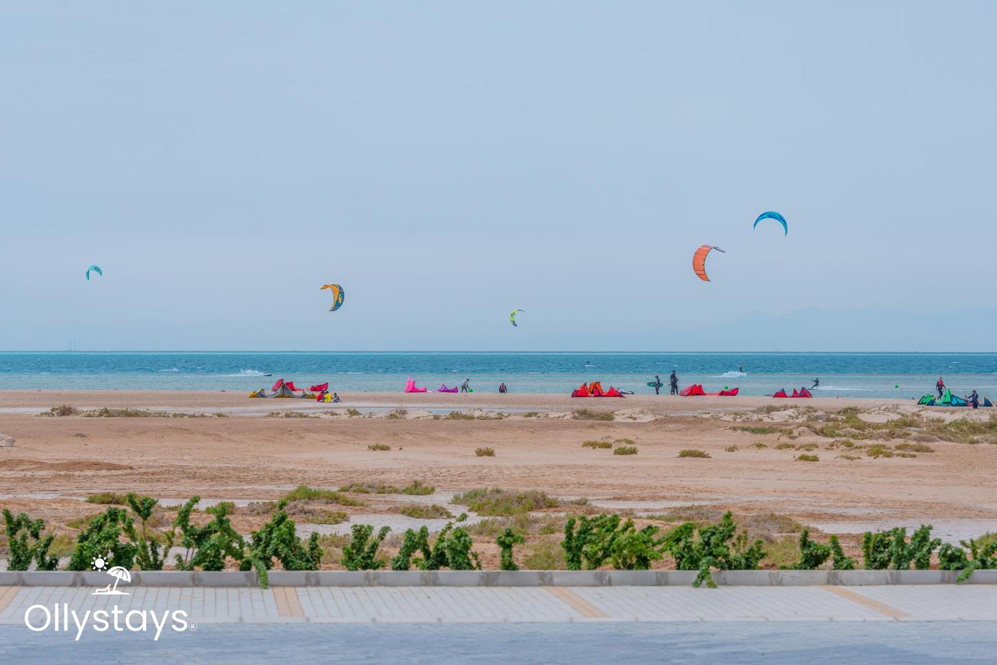 Ollystays Mangroovy Seaview 1Br Beach And Pool Free Access フルガダ エクステリア 写真