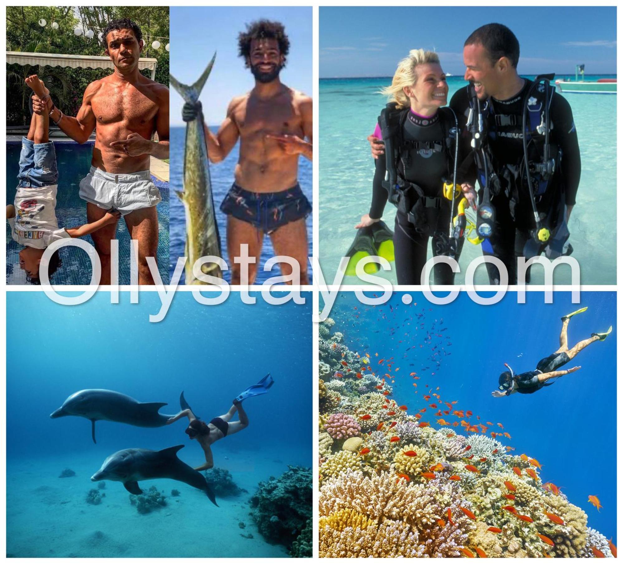 Ollystays Mangroovy Seaview 1Br Beach And Pool Free Access フルガダ エクステリア 写真