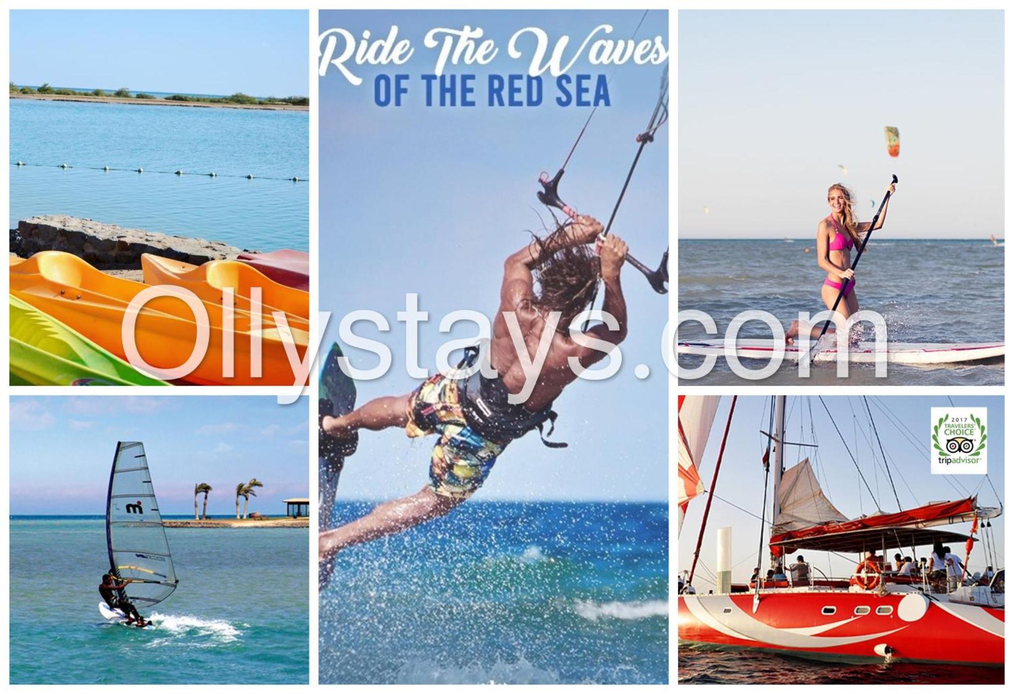 Ollystays Mangroovy Seaview 1Br Beach And Pool Free Access フルガダ エクステリア 写真