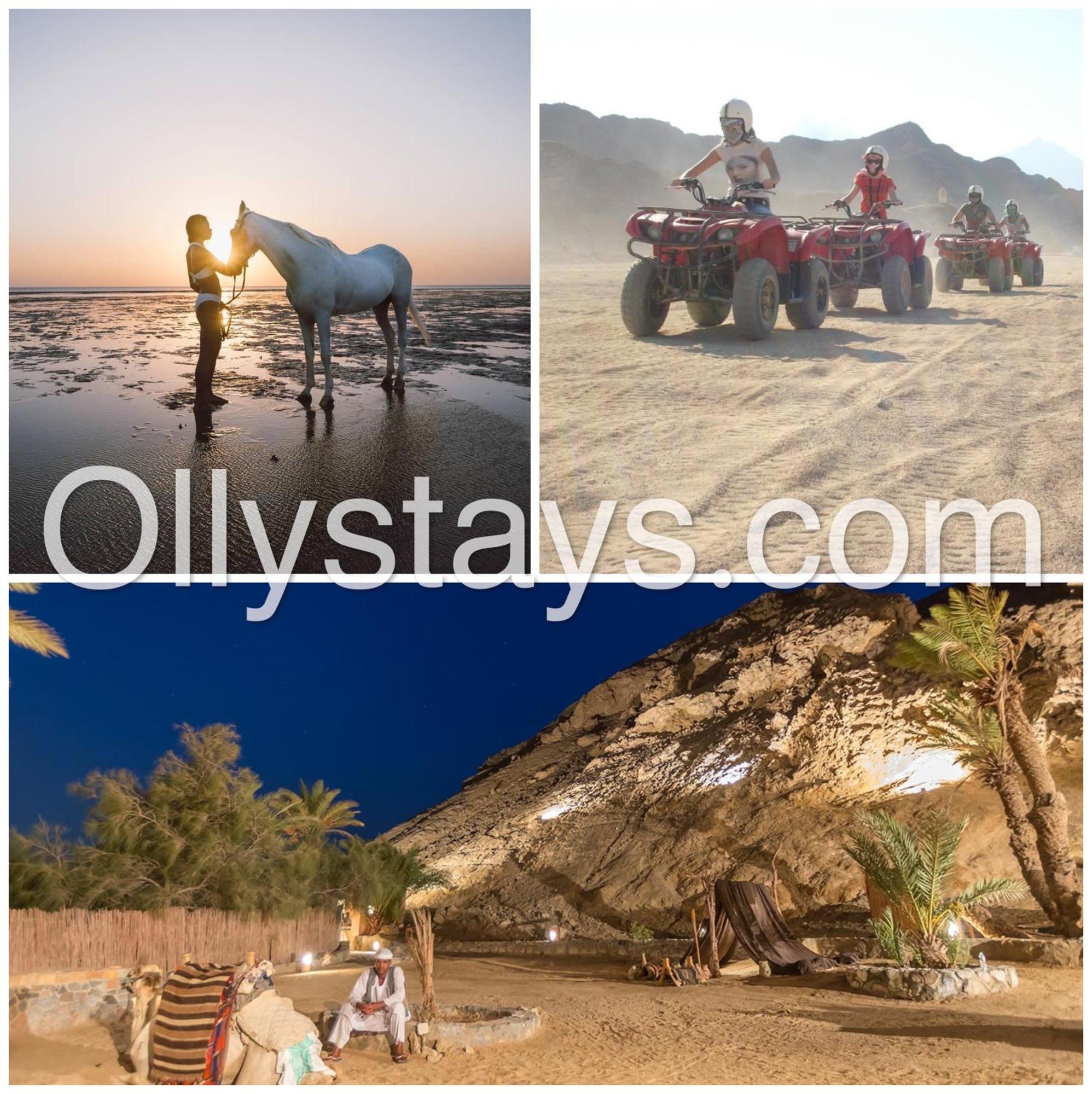 Ollystays Mangroovy Seaview 1Br Beach And Pool Free Access フルガダ エクステリア 写真